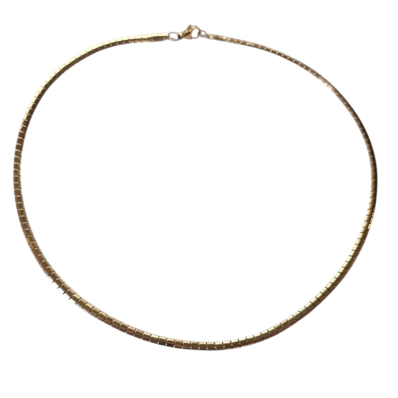 Stainless Steel Omega