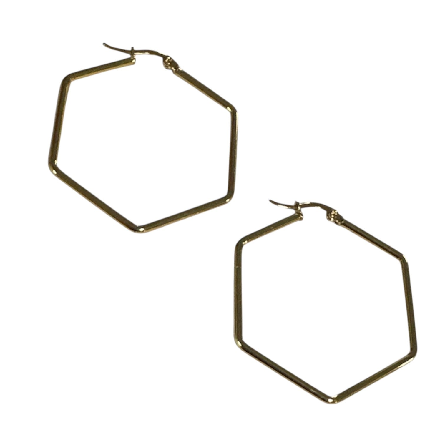 Stainless Steel Earring