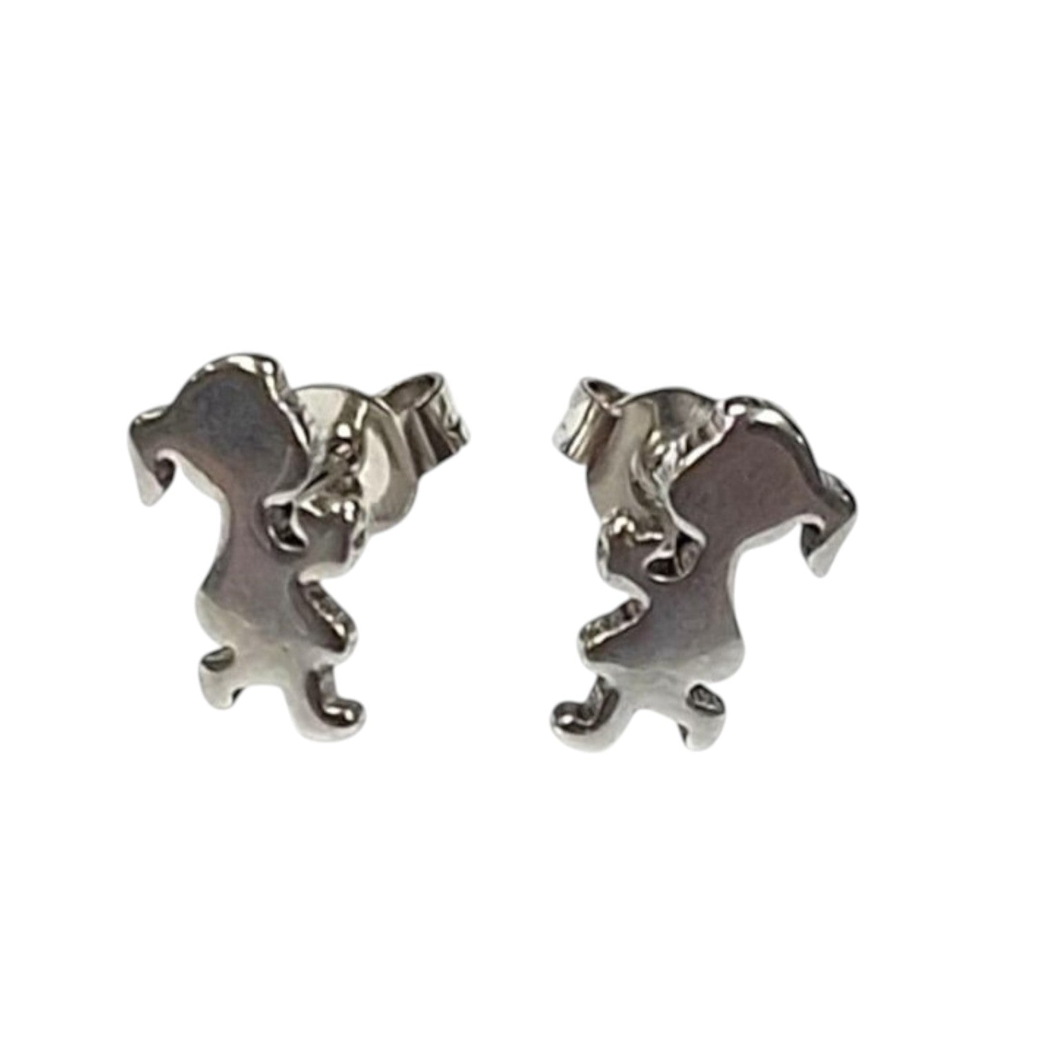 Stainless Steel Earring